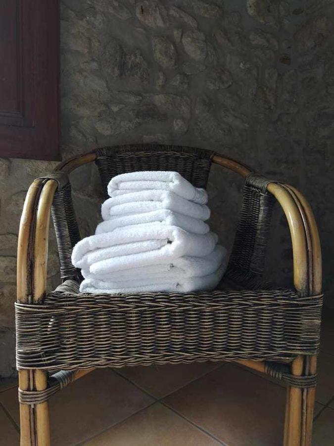 Mas Planella Casa Rural Mieres  Dış mekan fotoğraf